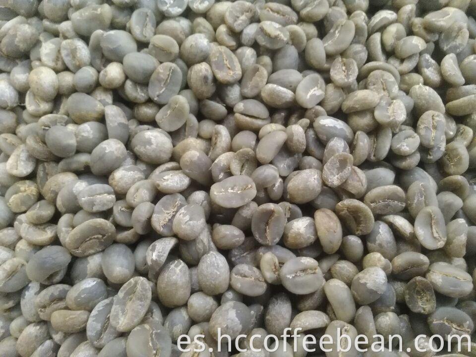 Granos de café verde chino, origen yunnan, pantalla 17-18, grado AA, tipo arábica